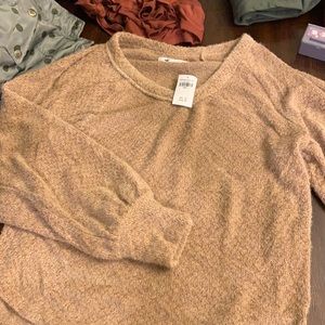 Small hollister sweater